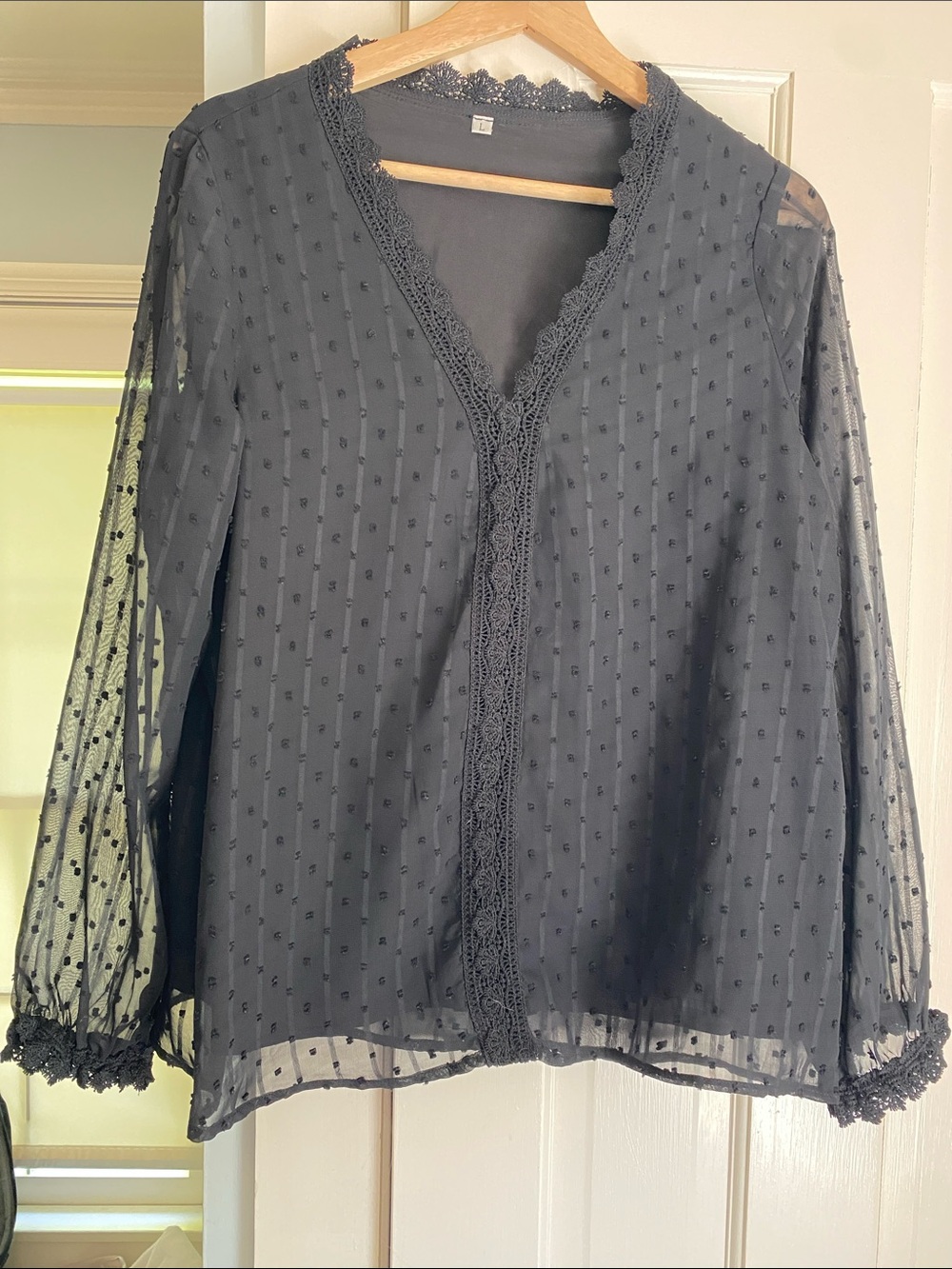 Sheer Lace-Trim Long Sleeve Blouse - Black